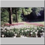 Central Park3.jpg